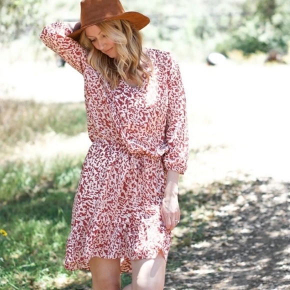 CAbi Sienna Leopard Print Dress Button Front Mini Length Ruffle Trim Size Small - Picture 1 of 11